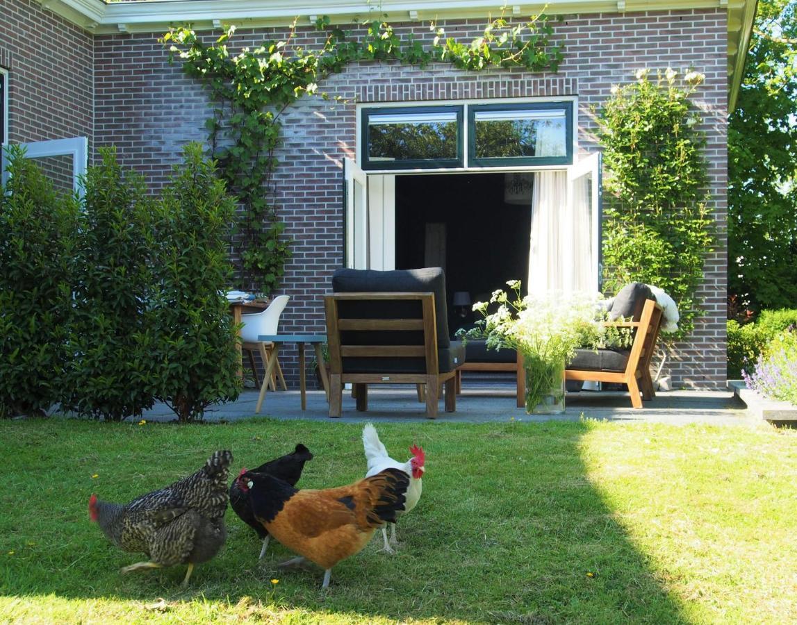 De Oude Dokterspraktijk Apartment Zuidhorn Luaran gambar